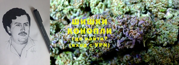 прущие крисы Елабуга