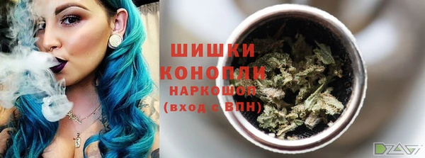 мдпв Шали