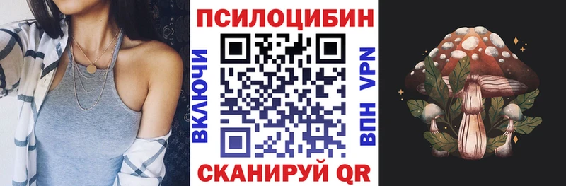 Галлюциногенные грибы Cubensis  гидра зеркало  Куртамыш 